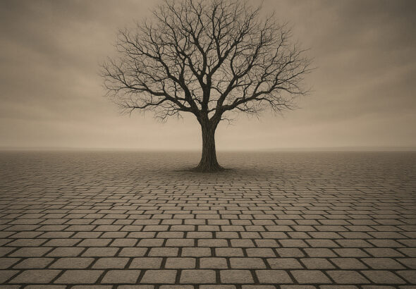 Verlassener Baum auf Kopfsteinpflasterstraße