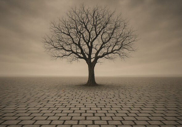 Verlassener Baum auf Kopfsteinpflasterstraße