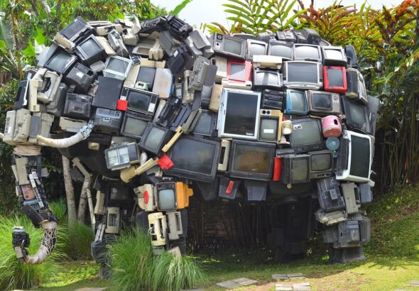 otrags-elephant-964898_1280