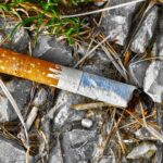 anaterate-cant-3372041_1920