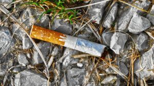 anaterate-cant-3372041_1920