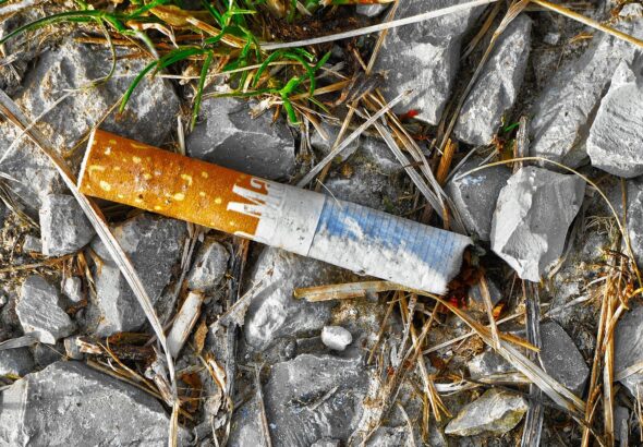 anaterate-cant-3372041_1920