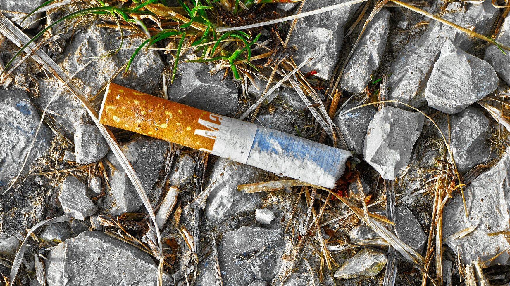 anaterate-cant-3372041_1920