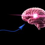 geralt-intelligence-9080619_1920