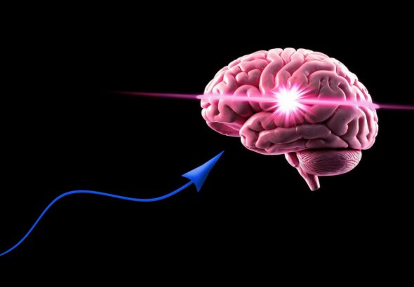 geralt-intelligence-9080619_1920