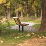 Bank im Wald
