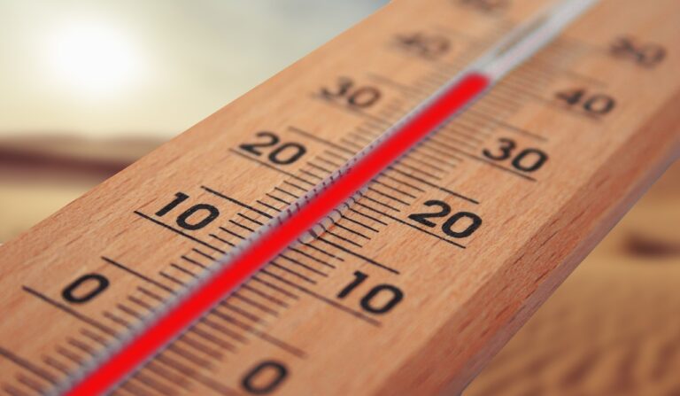 geralt-thermometer-4294021_1280