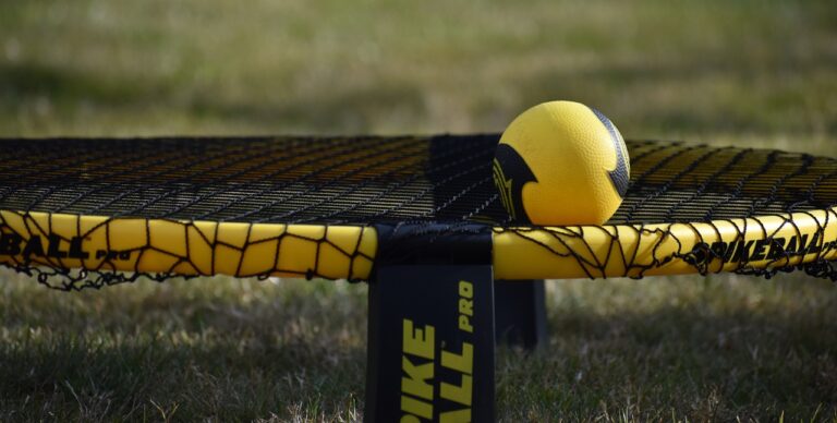 allgyerdaniel-spikeball-5525519_1280